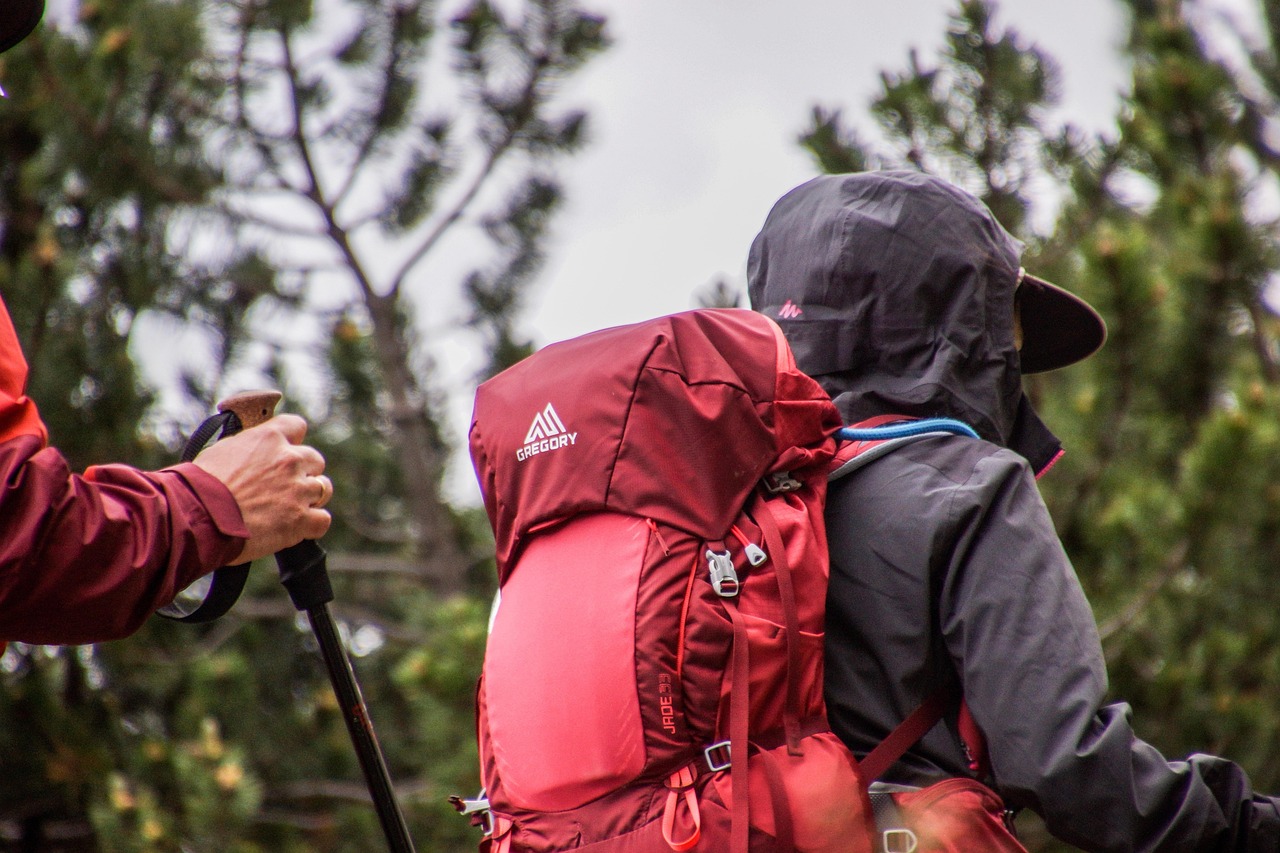 Home backpack, hiking, trekking, walk, mountain, alps, nature, landscape, trail, excursion, summer, tourism, backpack, backpack, backpack, backpack, backpack, hiking, trekking, trekking